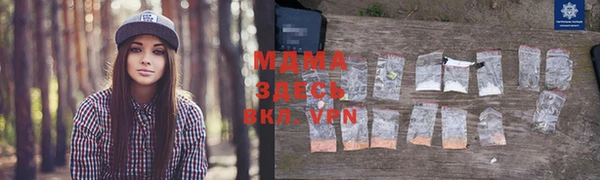 молекула духа Михайлов