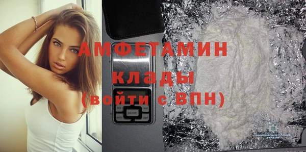 молекула духа Михайлов