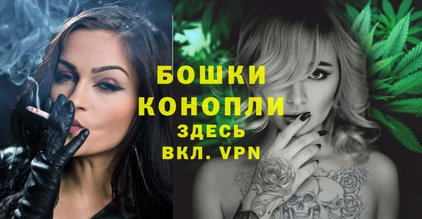 молекула духа Михайлов