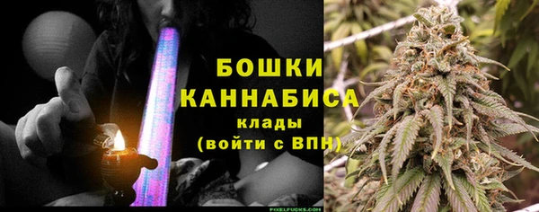 молекула духа Михайлов