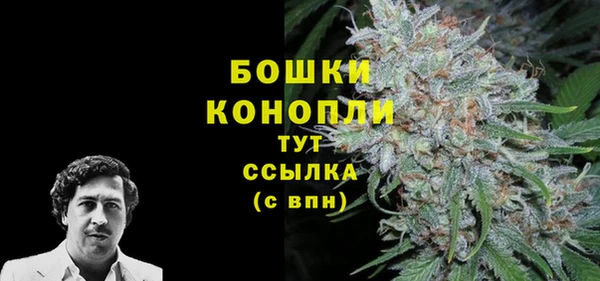 молекула духа Навашино