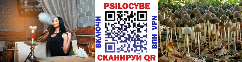 хочу наркоту  Назрань  Псилоцибиновые грибы GOLDEN TEACHER 