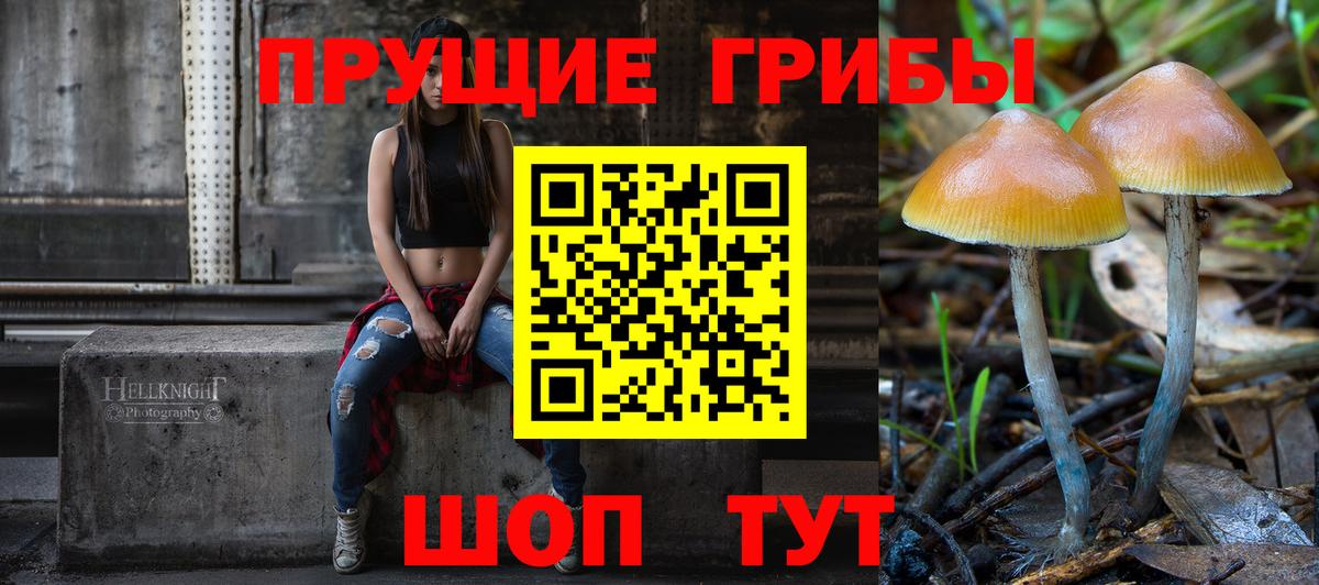 Псилоцибиновые грибы MAGIC MUSHROOMS Назрань