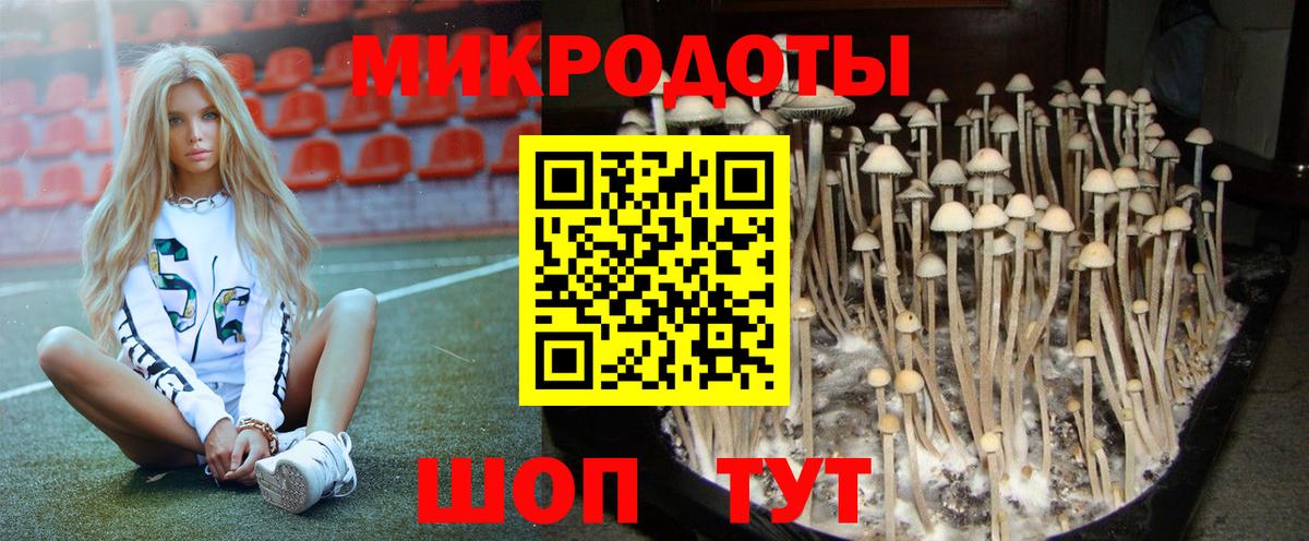 Галлюциногенные грибы ЛСД  Назрань 