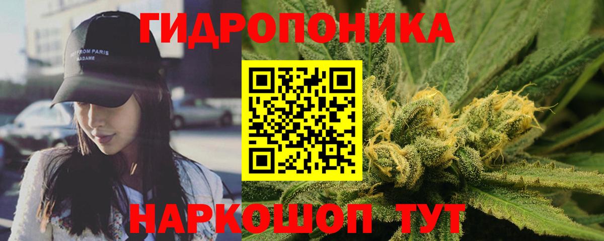 Марихуана ГИДРОПОН  Канабис планчик  Бошки марихуана Amnesia  Назрань  Вход с VPN 